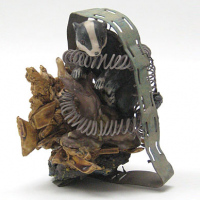 'Badgered', 2011